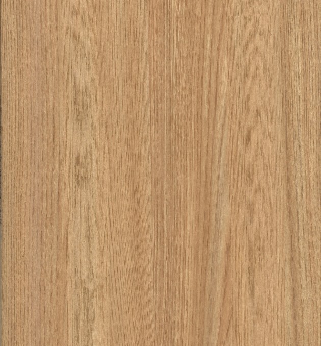 8004 GOLDEN OAK